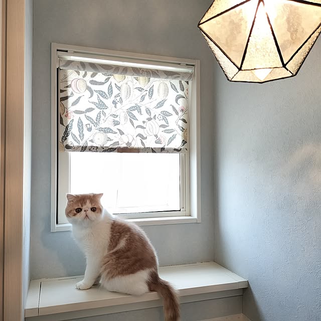 s.houseさんの部屋
