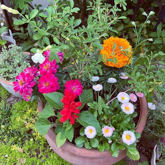 min_nimさんの実例写真