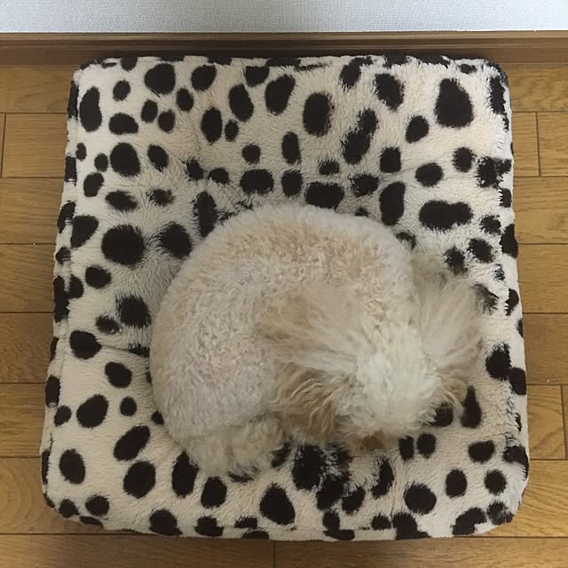 mimさんの実例写真