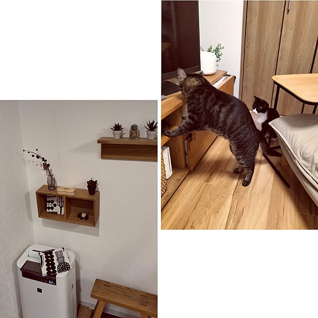 hihaさんの実例写真