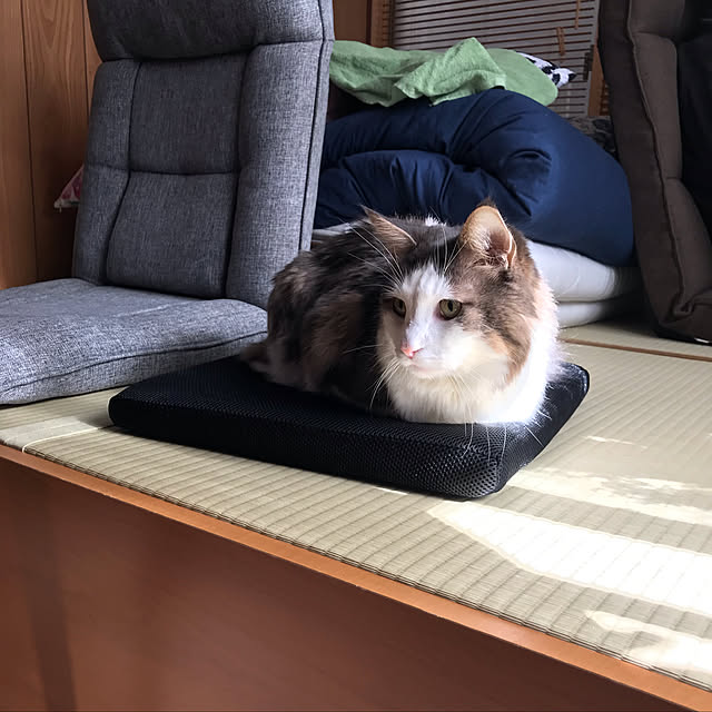 masakoさんの実例写真
