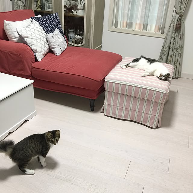 yuchiさんの実例写真