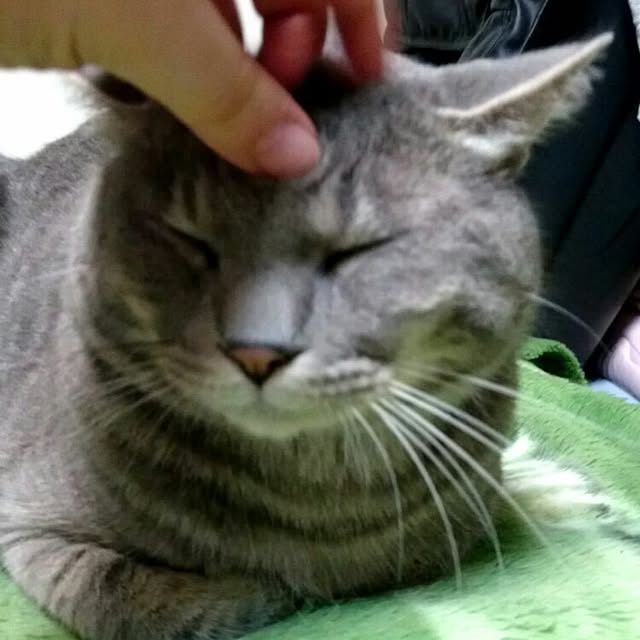 lalaさんの実例写真