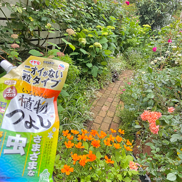 na-chanさんの実例写真