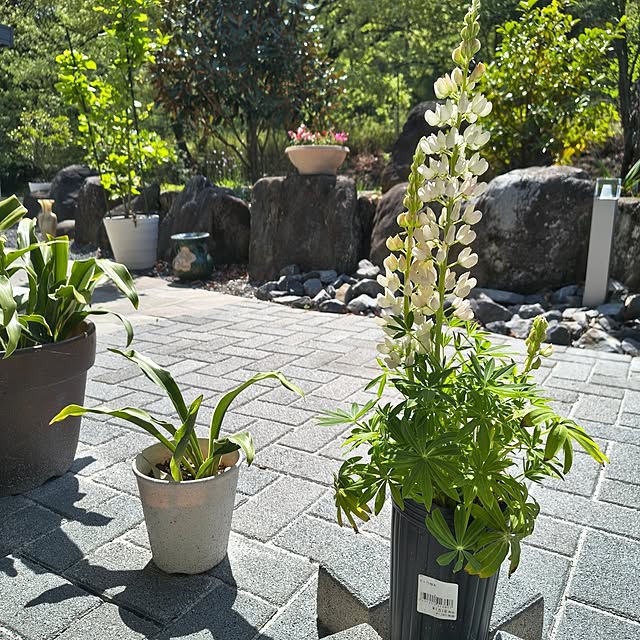 Rubiconさんの部屋