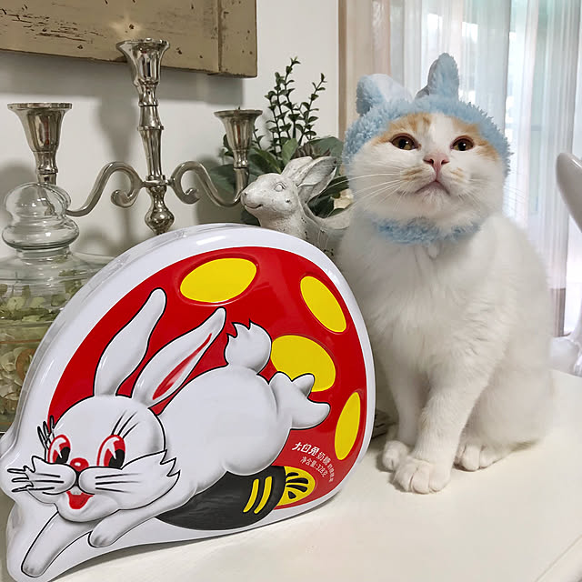 yuchiさんの実例写真