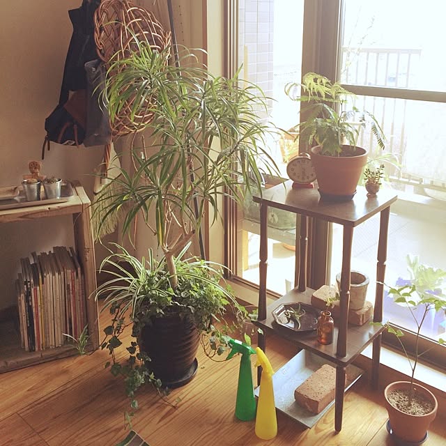 hanoruさんの実例写真