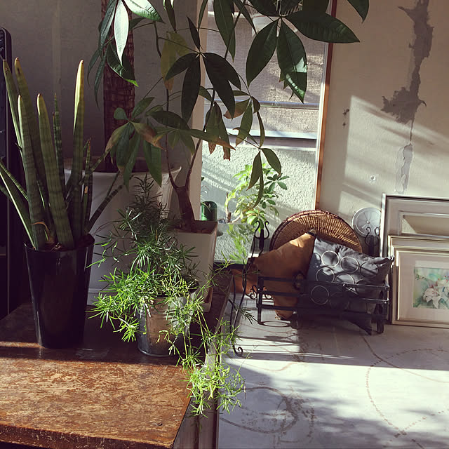 cloudia_gardenさんの実例写真