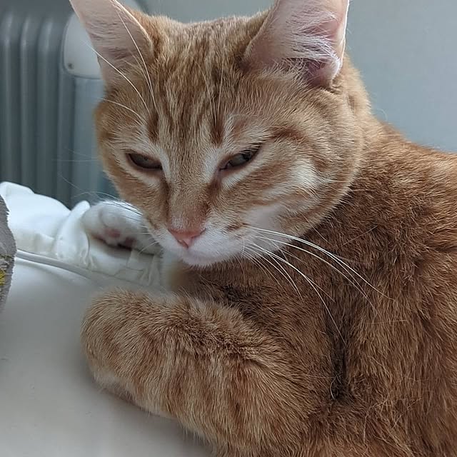 minnieさんの部屋