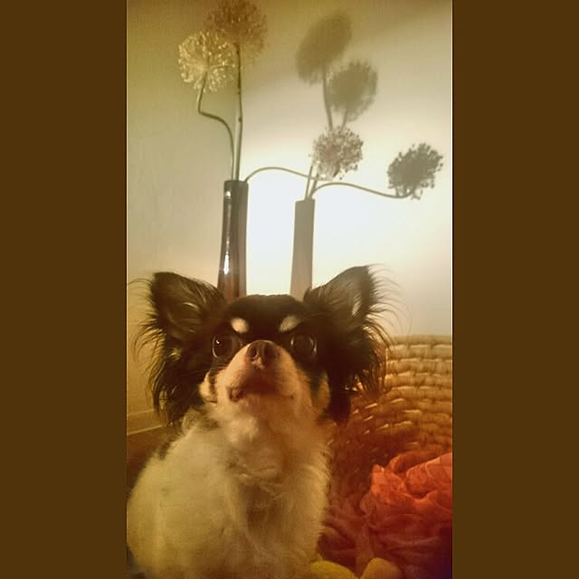 teさんの実例写真