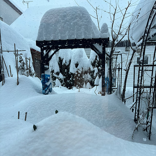 heyasukiさんの実例写真