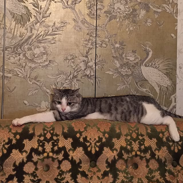 emmyyさんの実例写真