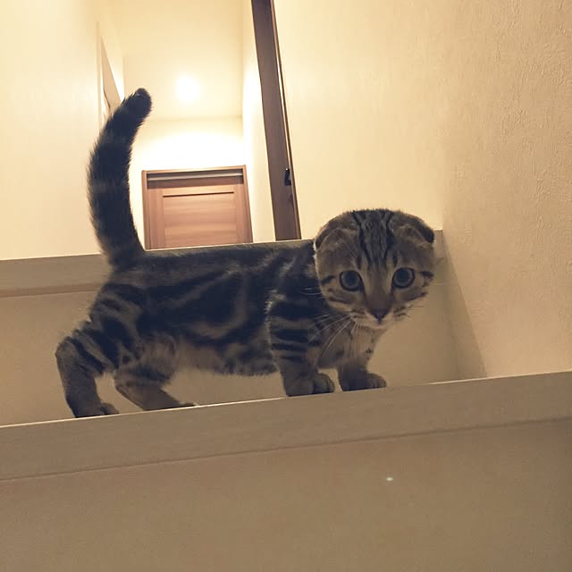 rinaaaa_1125さんの実例写真