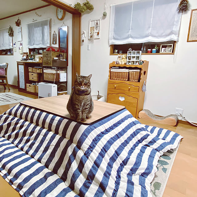 cocomaroさんの実例写真