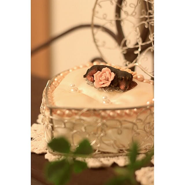 maruzoさんの実例写真