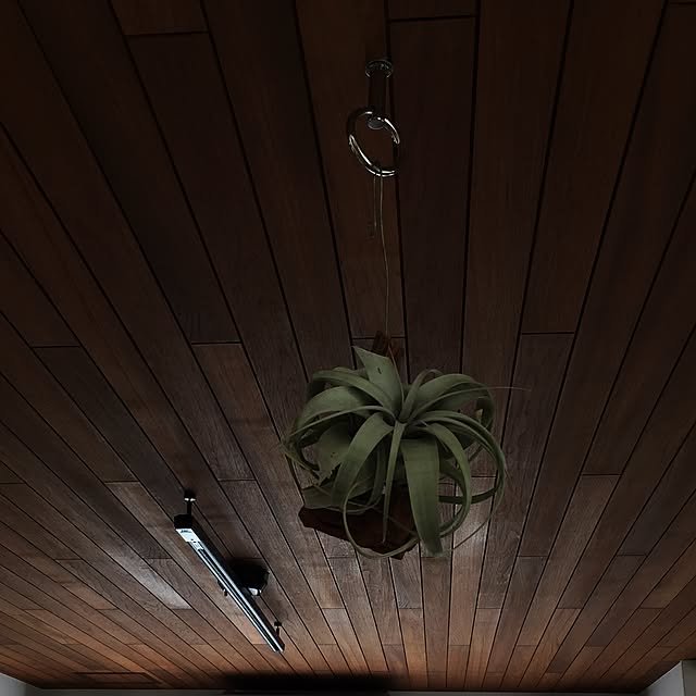 shiiimay114さんの実例写真