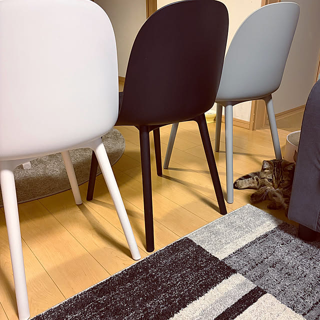 chiiさんの実例写真