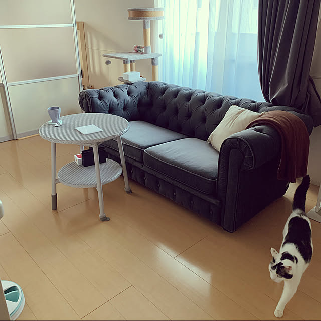 Yukikoさんの実例写真