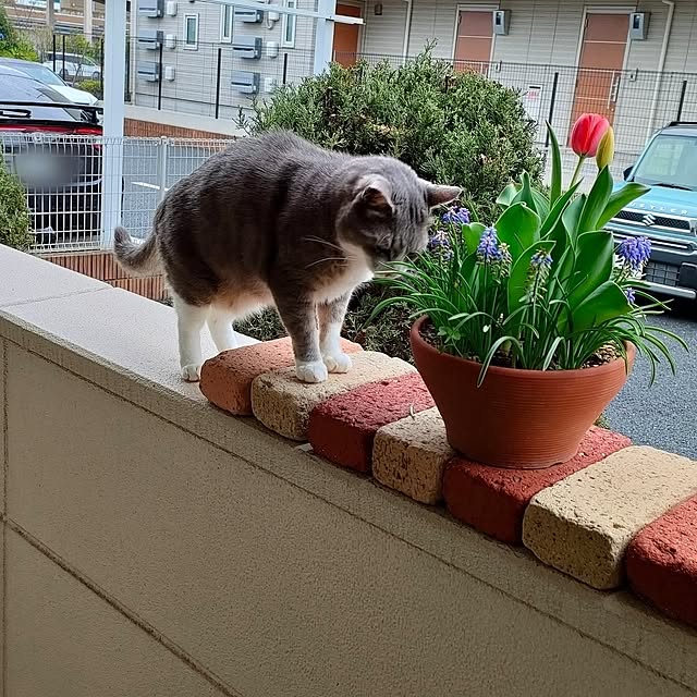 Yoko622さんの実例写真