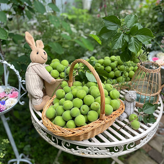 mさんの実例写真