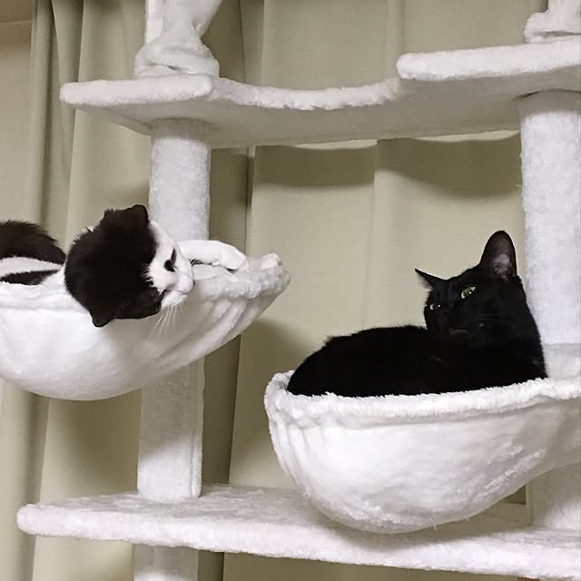 mahi1101さんの実例写真