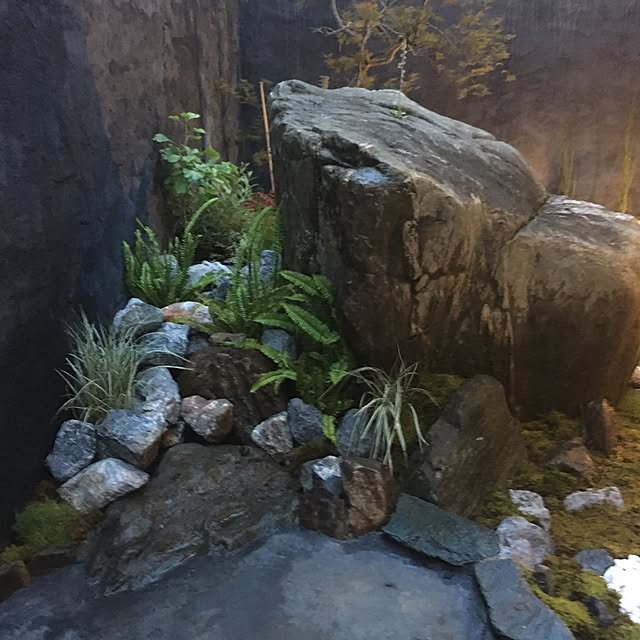 kokepapaさんの実例写真