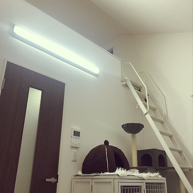w_fox0713さんの実例写真