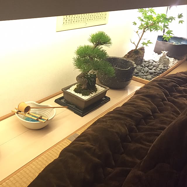 mesoさんの実例写真