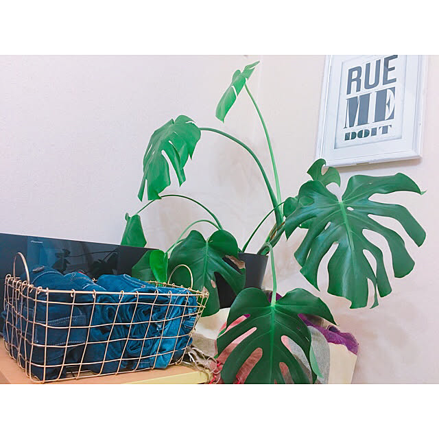 mnbb0211さんの実例写真