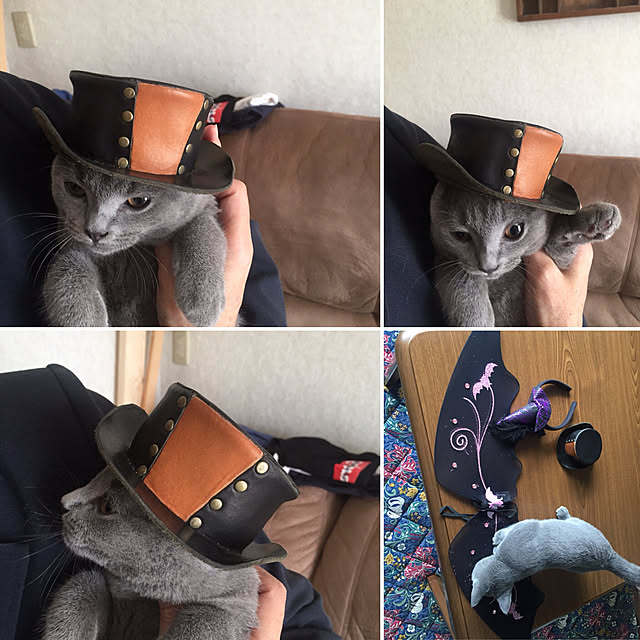 masaさんの実例写真