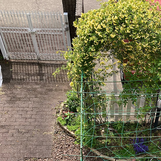 mind_komaさんの実例写真