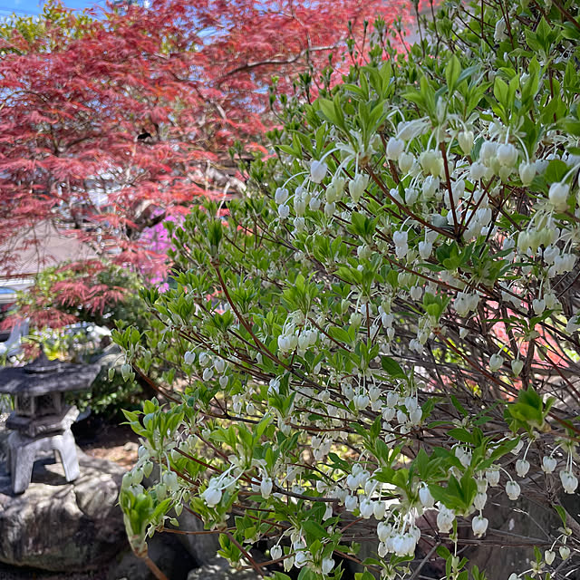 shin0719さんの部屋