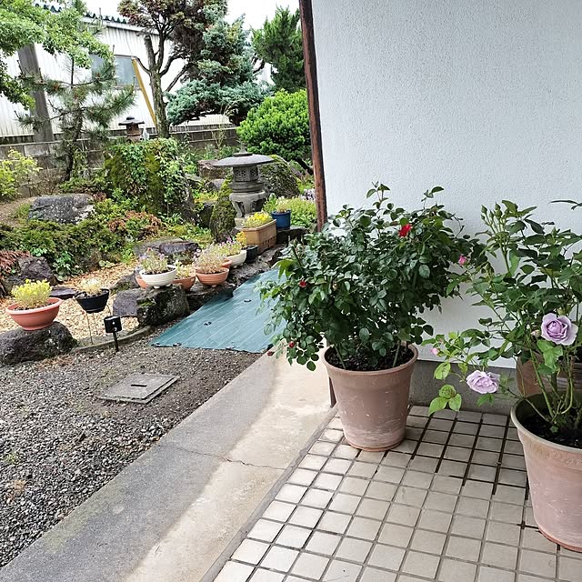 sumimarumiさんの実例写真