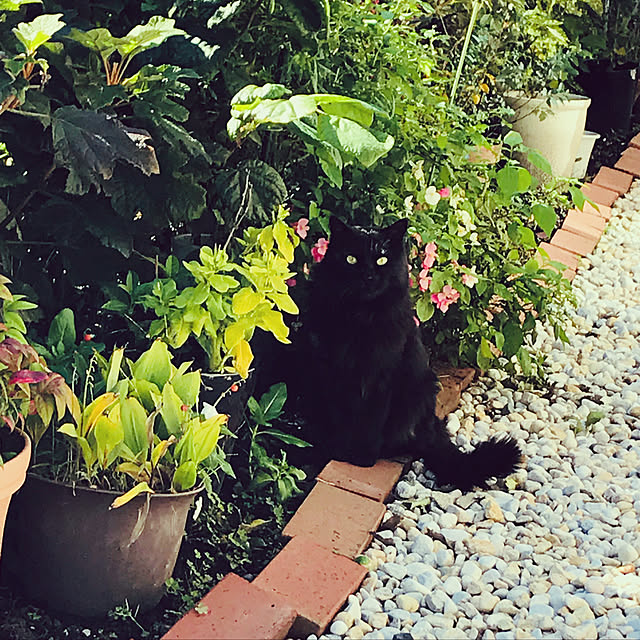 minamiさんの実例写真
