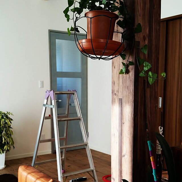 ninoさんの実例写真