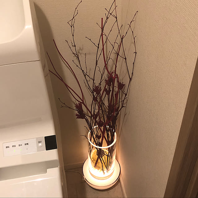 TADAさんの実例写真