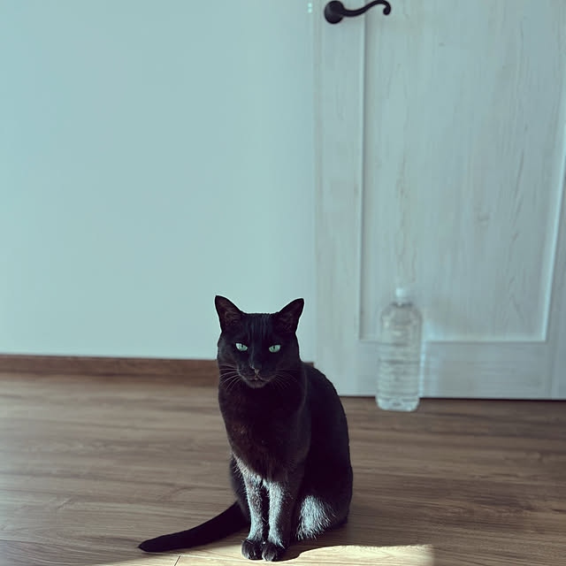 R.さんの実例写真
