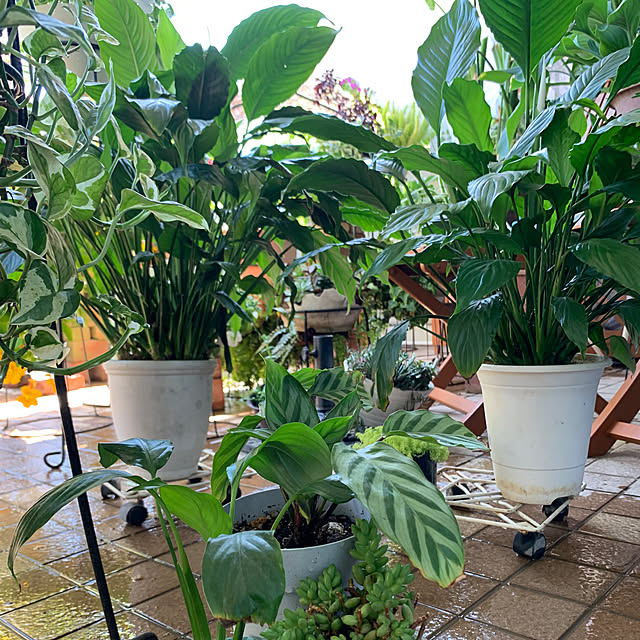 Aqettyさんの部屋