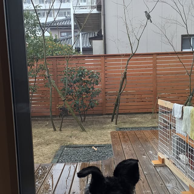 Arutanさんの実例写真