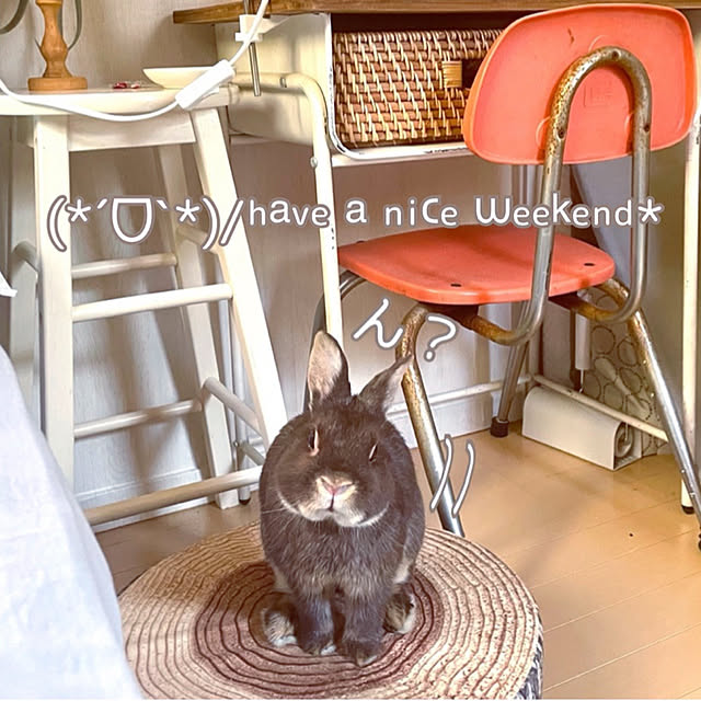 mo-nosukeさんの実例写真