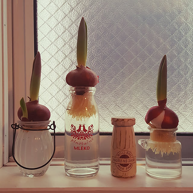 okkunさんの実例写真