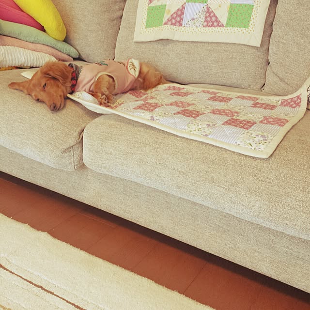 sumireさんの実例写真