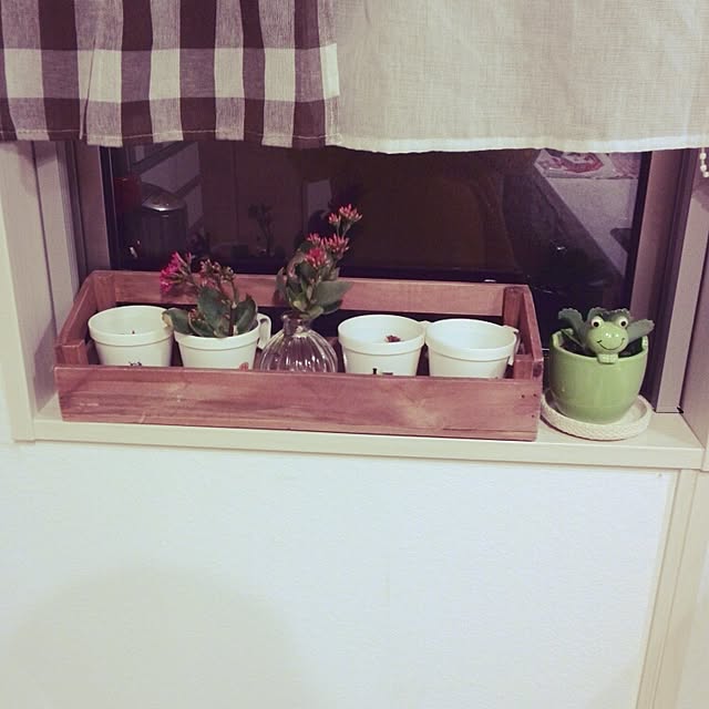 Mikaさんの実例写真