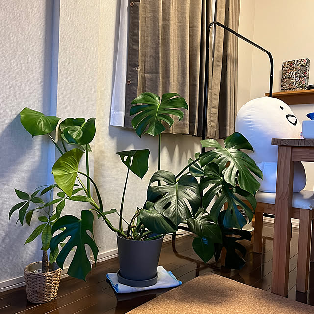 nnfwanicoさんの部屋