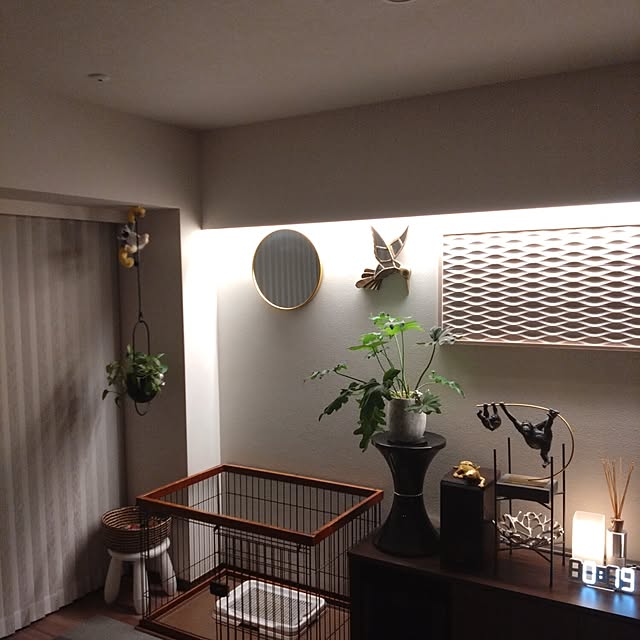 kiyoさんの部屋
