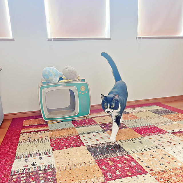 star..さんの部屋