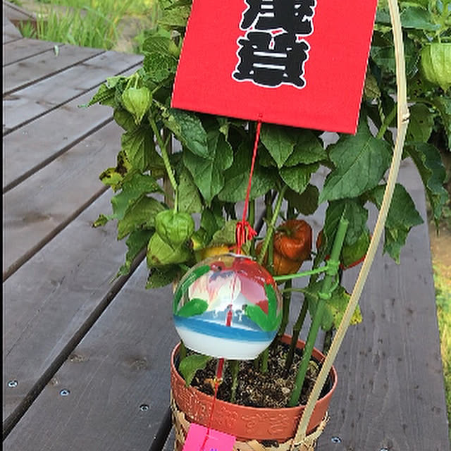 Nagakoさんの部屋