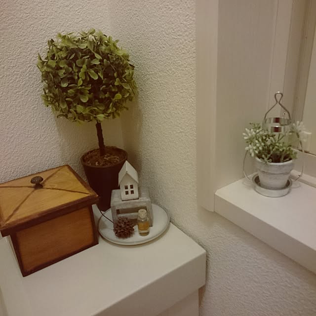 Sanaeさんの実例写真