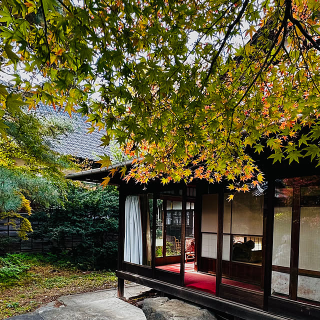 chacoさんの部屋