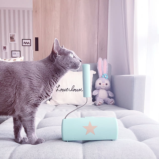 snoopyさんの実例写真